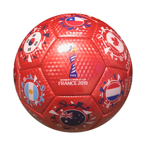 FIFA 2019 Women's World Cup France National Orbit Souvenir Size 5 Soccer