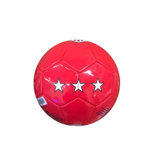 U.S. Soccer USWNT Brush Stroked Size 2 Mini Skill Ball